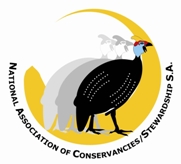NACSA Logo